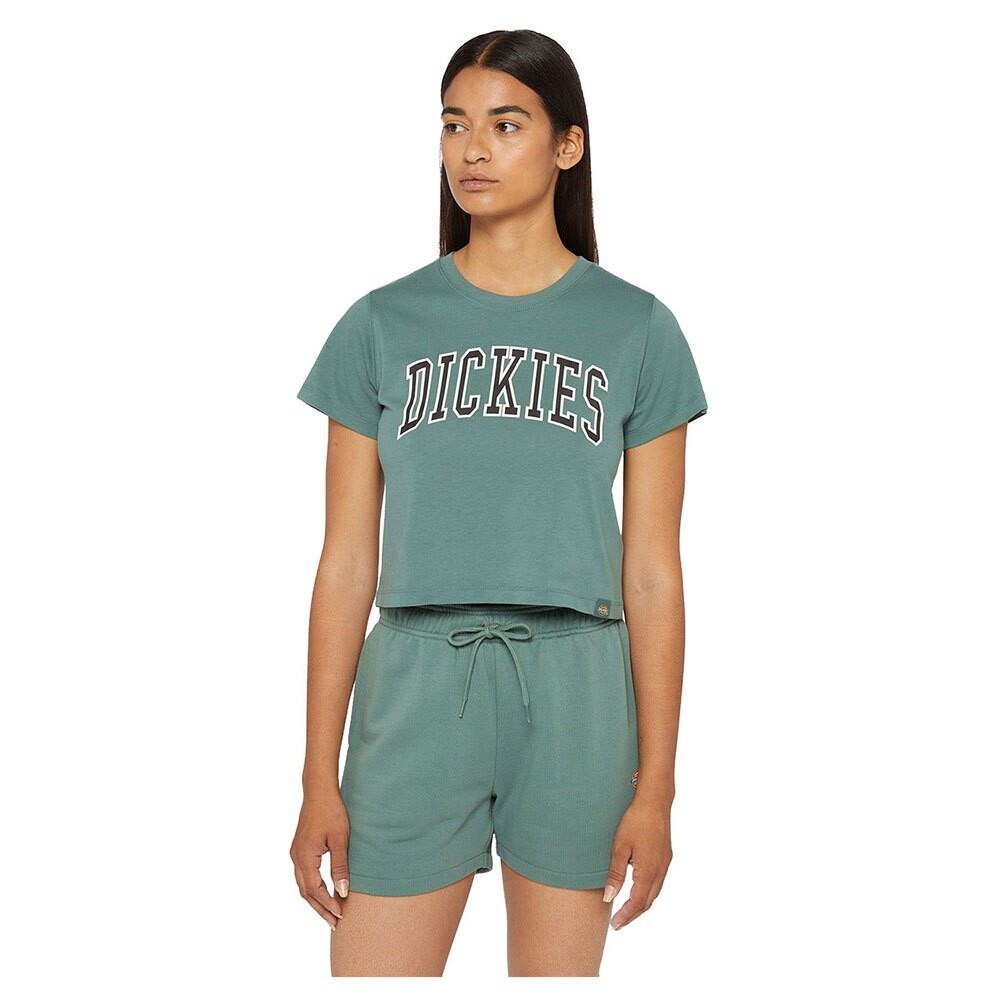 Футболка с коротким рукавом Dickies Aitkin, зеленый
Футболка с коротким рукавом Dickies Aitkin, зеленый