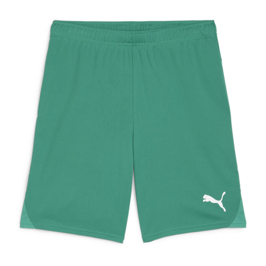 Шорты Puma мужские teamGOAL 705752
Шорты Puma мужские teamGOAL 705752