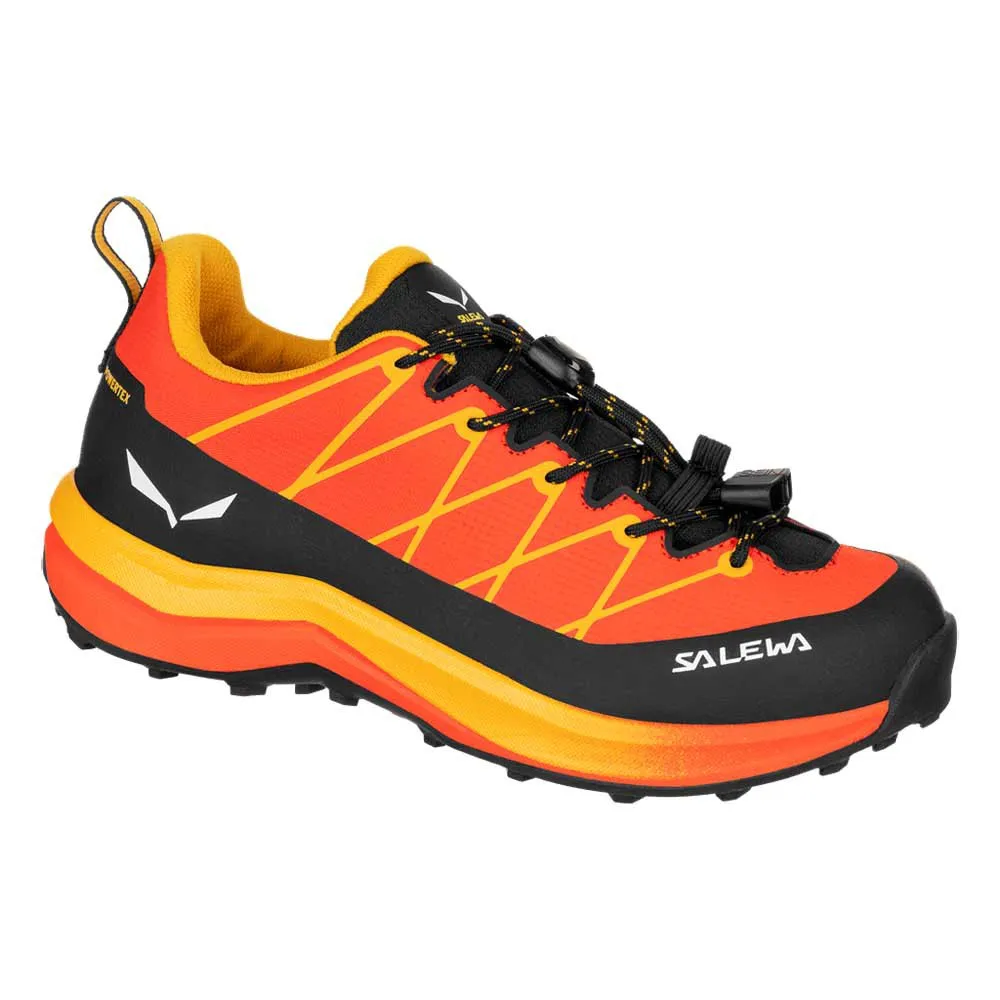 Походные ботинки Salewa Wildfire 2 PTX K, оранжевый
Походные ботинки Salewa Wildfire 2 PTX K, оранжевый