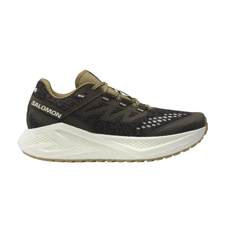 Кроссовки Salomon Aero Glide 3 GRVL, Wren Coyote Brown
Кроссовки Salomon Aero Glide 3 GRVL, Wren Coyote Brown