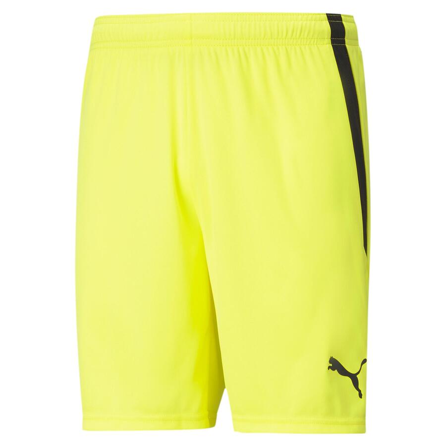 Мужские шорты Puma teamLIGA 704924
Мужские шорты Puma teamLIGA 704924