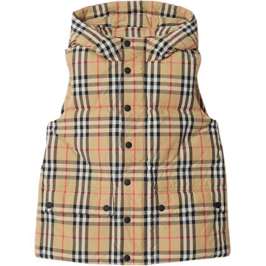 Детский жилет-пуховик Burberry, sandy бежевый
Детский жилет-пуховик Burberry, sandy бежевый
