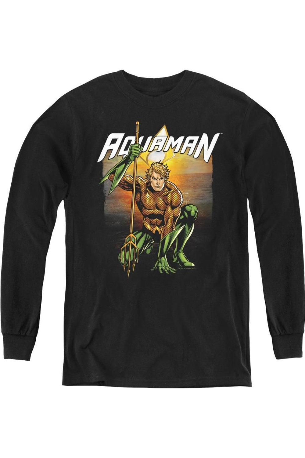 Футболка с длинным рукавом "Justice League of America" с пляжным закатом для молодежи Gildan, черный
Футболка с длинным рукавом "Justice League of America" с пляжным закатом для молодежи Gildan, черный