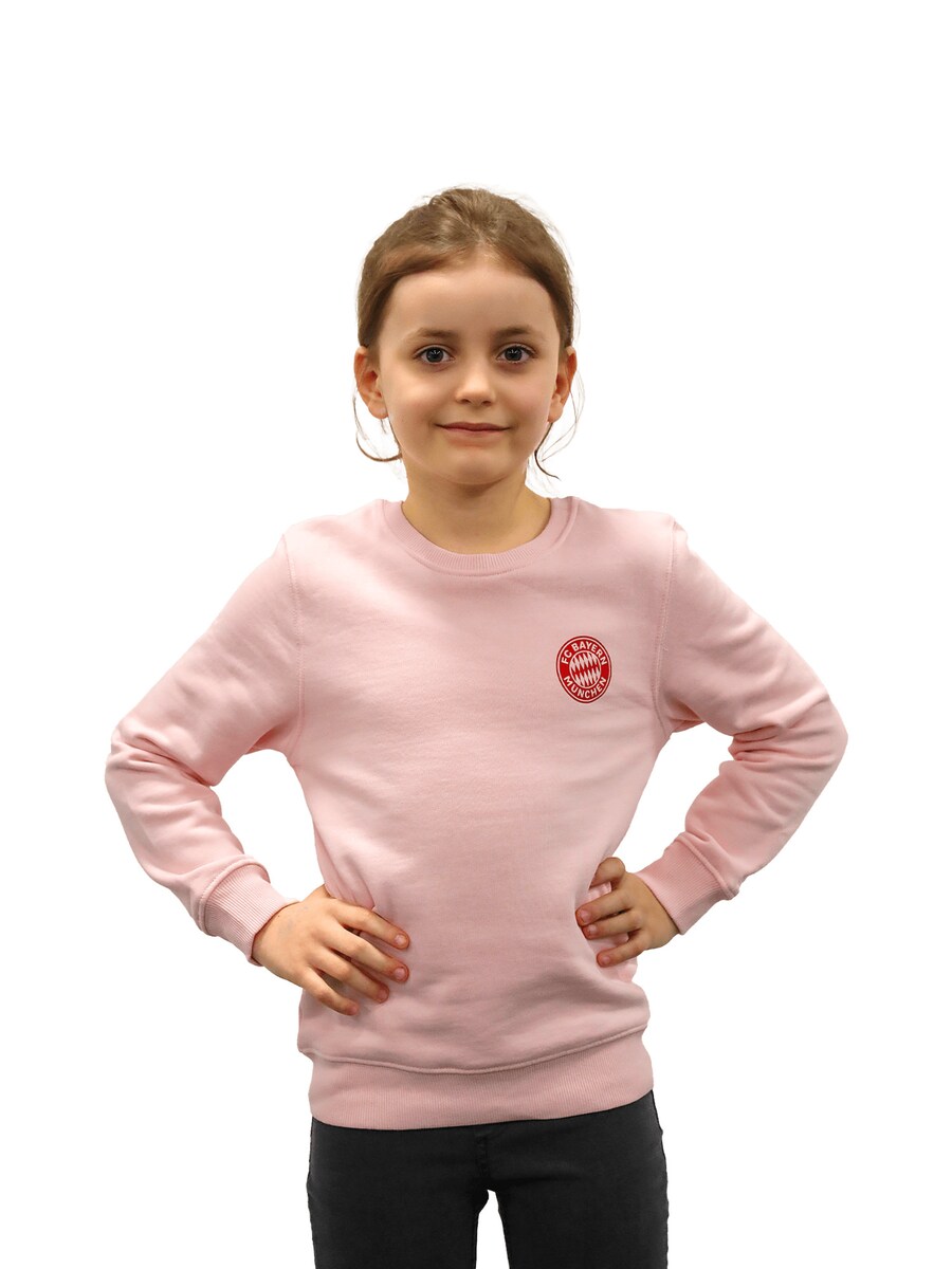 Спортивная толстовка FC BAYERN MÜNCHEN, розовый 
Спортивная толстовка FC BAYERN MÜNCHEN, розовый