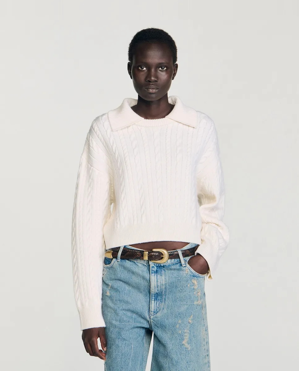 Женский джемпер с воротником «гольф» Sandro, белый
Женский джемпер с воротником «гольф» Sandro, белый