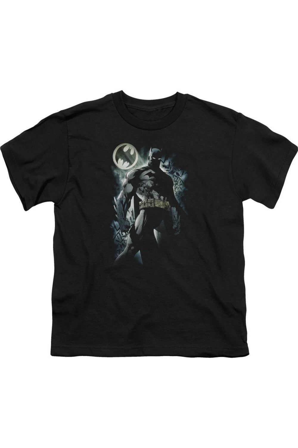 Футболка с коротким рукавом Batman The Knight для детей Gildan, черный
Футболка с коротким рукавом Batman The Knight для детей Gildan, черный