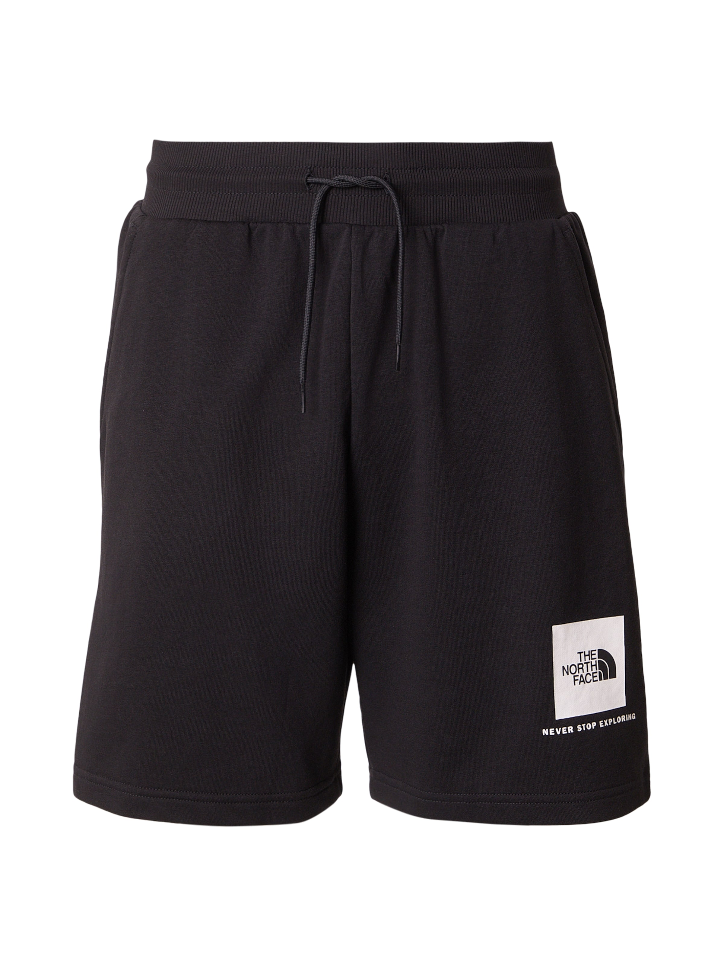 THE NORTH FACE Шорты Regular 'BOX NSE LIGHT' в черном цвете
THE NORTH FACE Шорты Regular 'BOX NSE LIGHT' в черном цвете