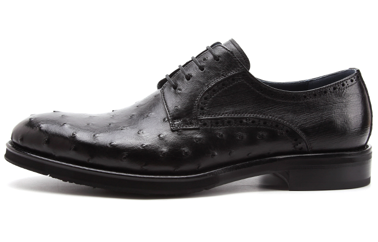 Satchi Повседневные кожаные туфли мужские низкие, черные
Satchi Повседневные кожаные туфли мужские низкие, черные