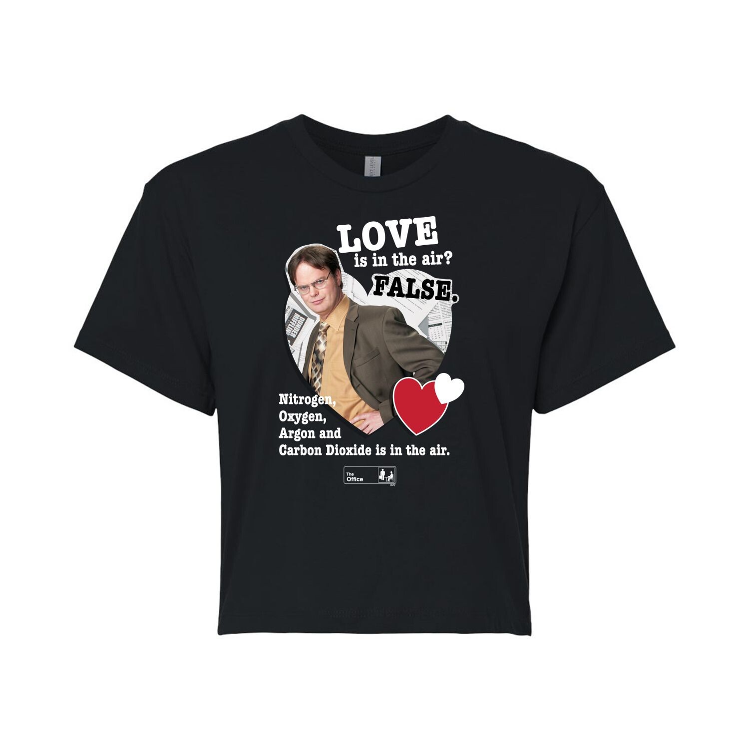 Укороченная футболка The Office Love In Air для юниоров Licensed Character, черный
Укороченная футболка The Office Love In Air для юниоров Licensed Character, черный