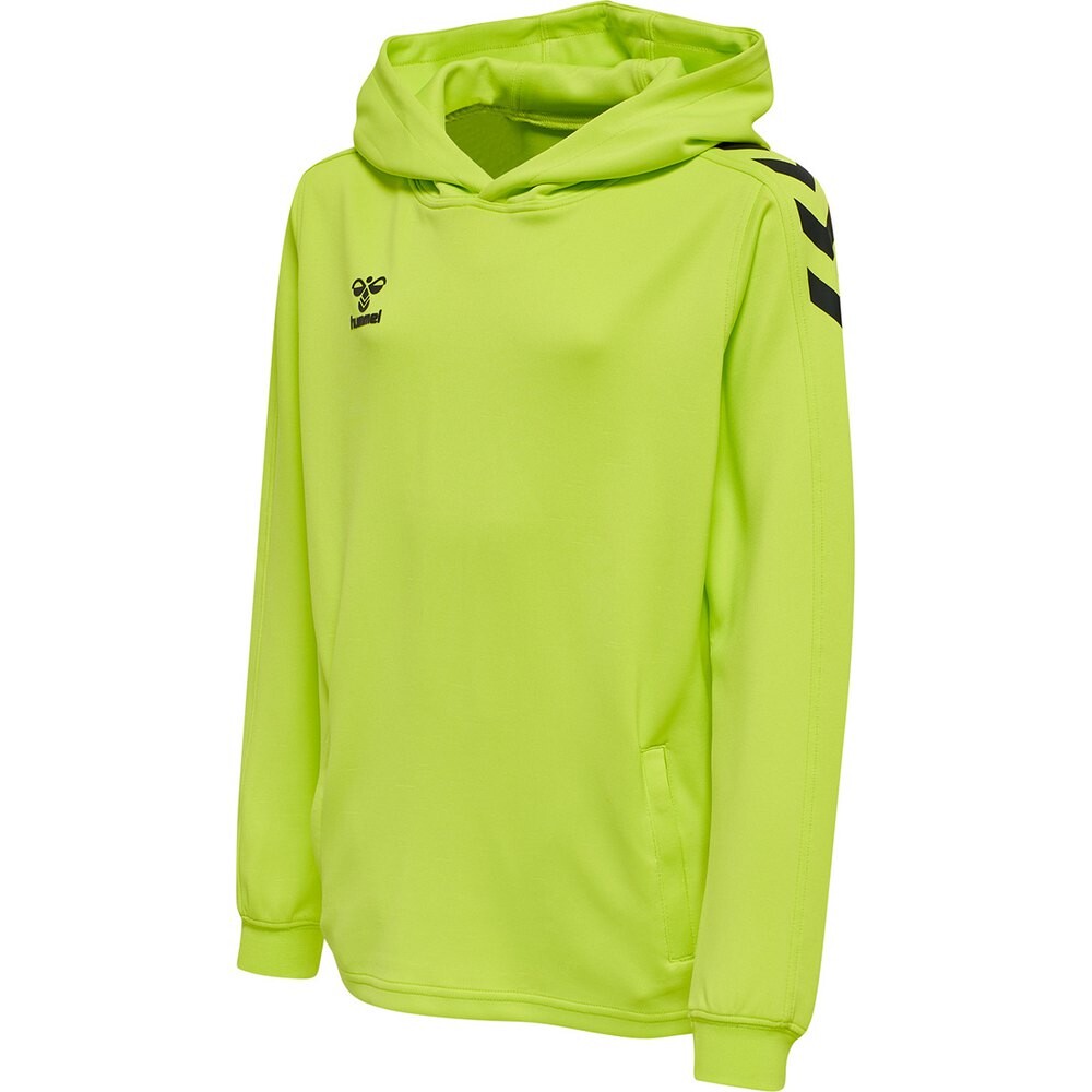 Худи Hummel Core Xk Poly, зеленый
Худи Hummel Core Xk Poly, зеленый