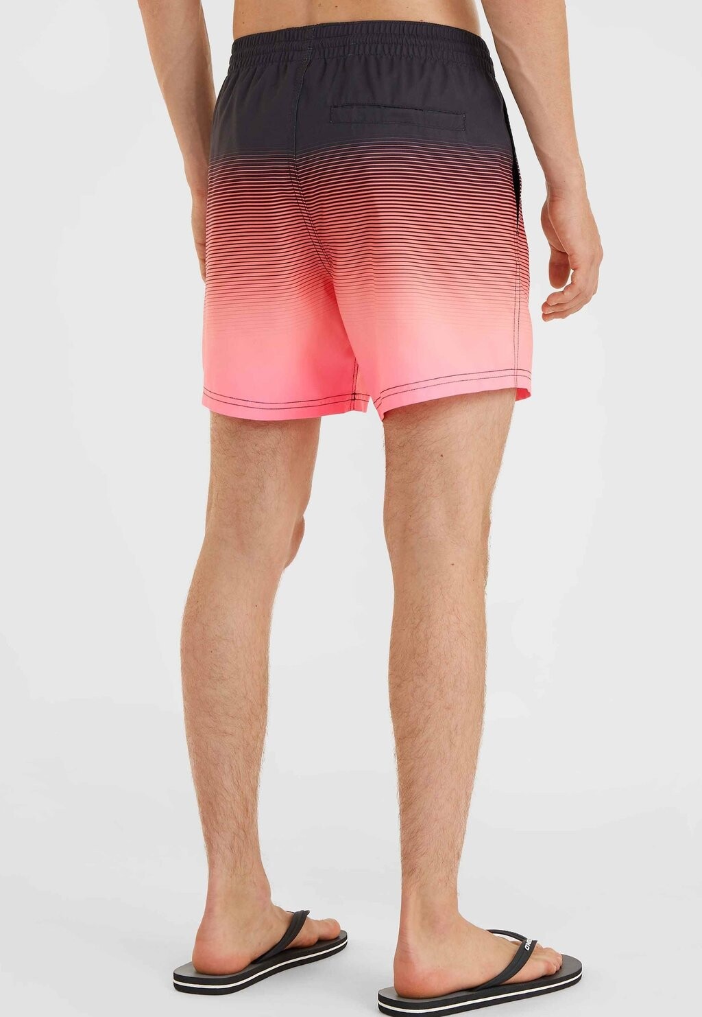 Шорты для плавания O'Neill, черные простые градиентные вставки 
Шорты для плавания O'Neill, черные простые градиентные вставки