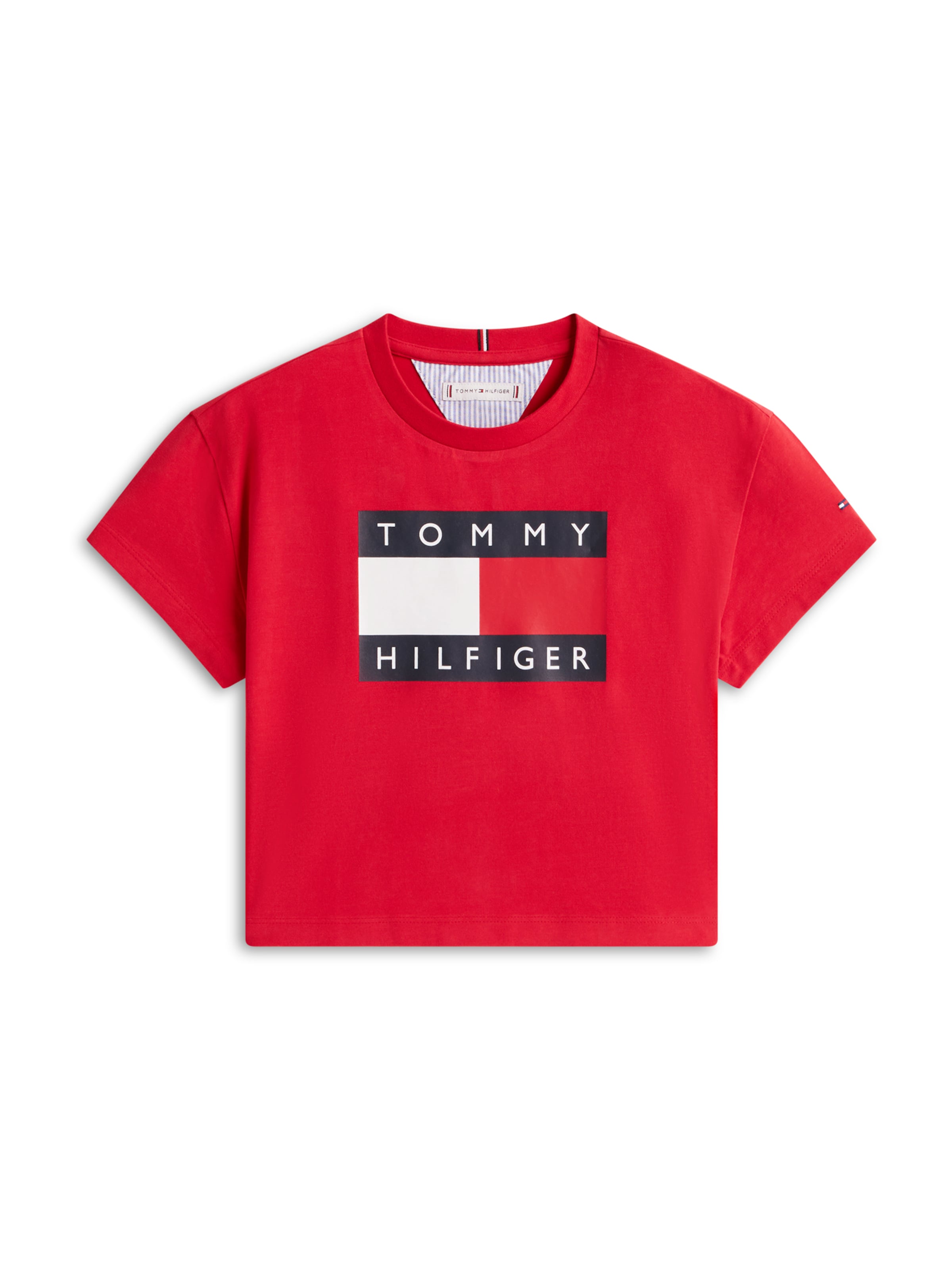 TOMMY HILFIGER Футболка 'HERITAGE' в красном цвете
TOMMY HILFIGER Футболка 'HERITAGE' в красном цвете