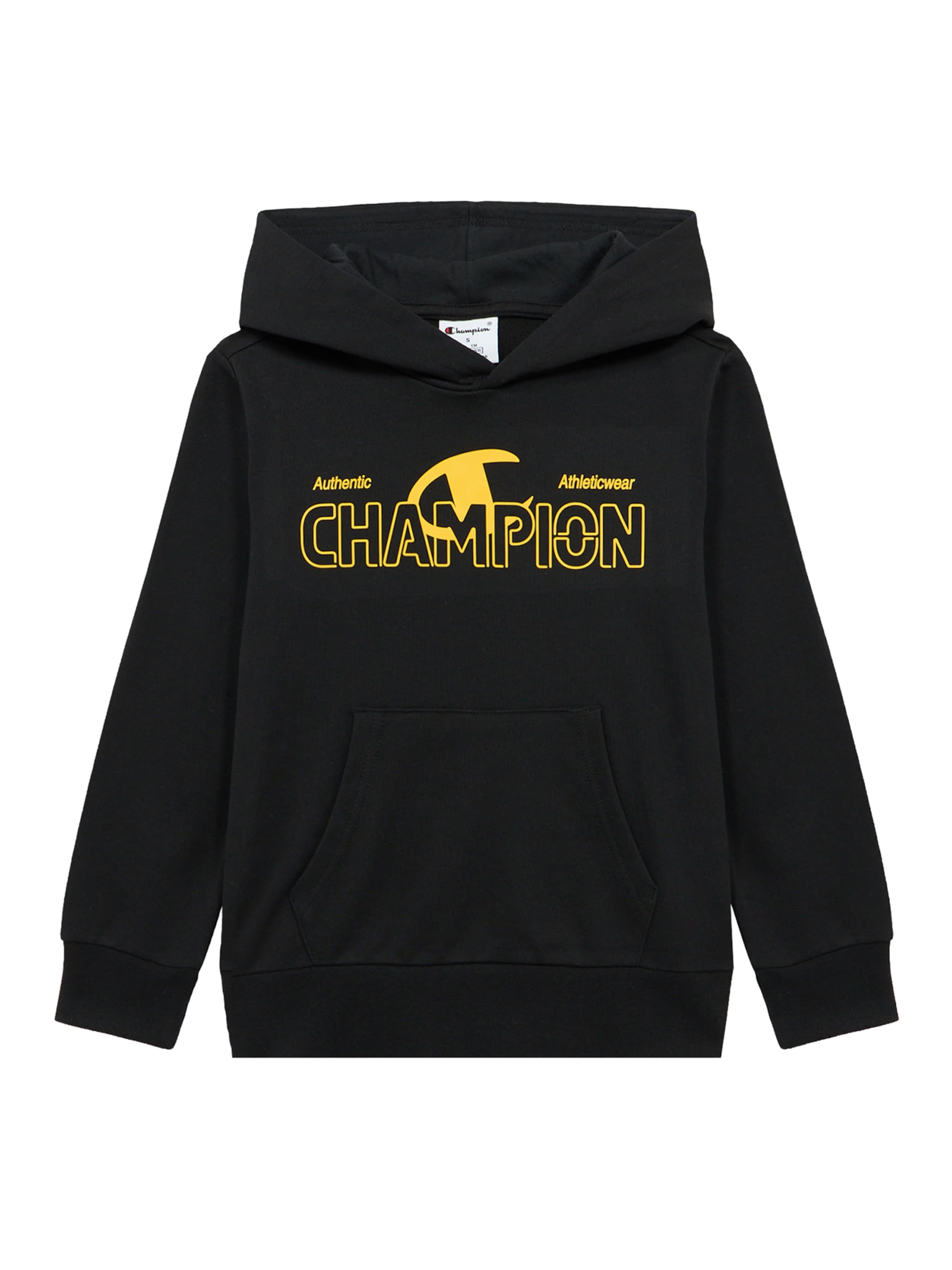 Champion Authentic Athletic Apparel Толстовка в черном цвете
Champion Authentic Athletic Apparel Толстовка в черном цвете