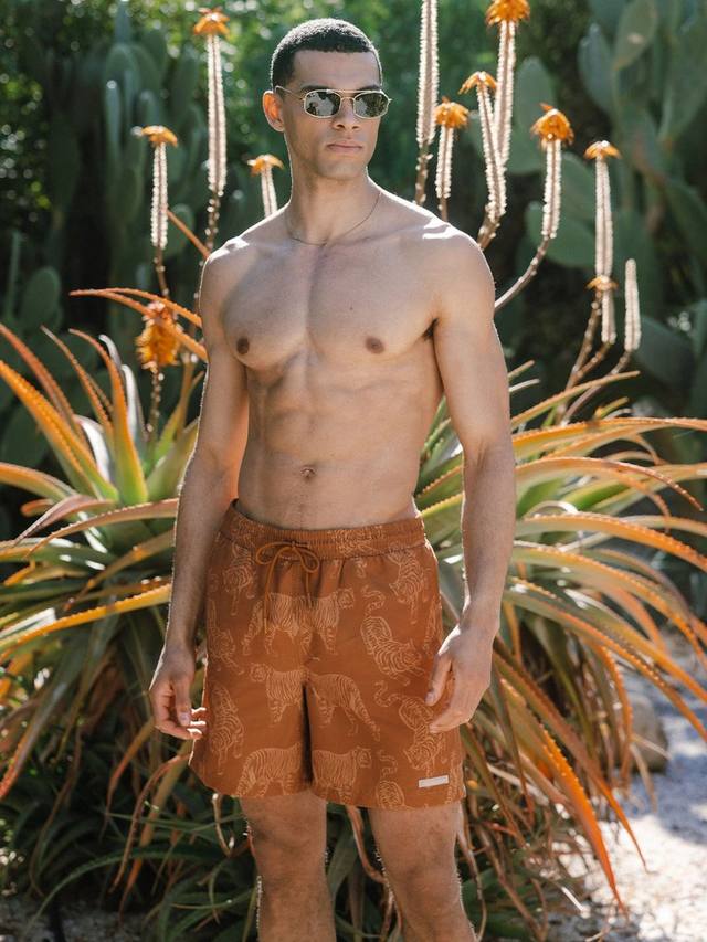 Плавки с принтом тигра Chelsea Peers, Orange
Плавки с принтом тигра Chelsea Peers, Orange