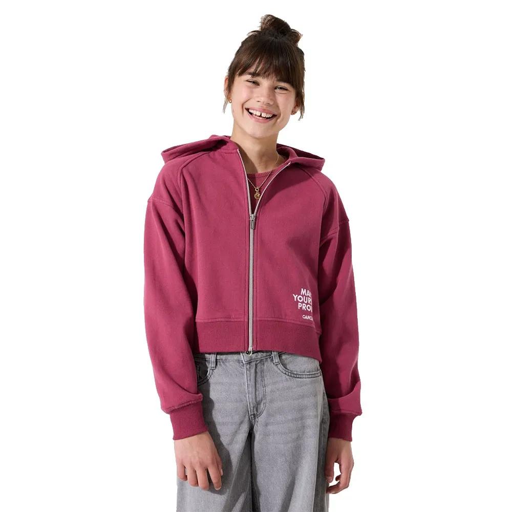 Толстовка Garcia I52655 full zip, розовый
Толстовка Garcia I52655 full zip, розовый