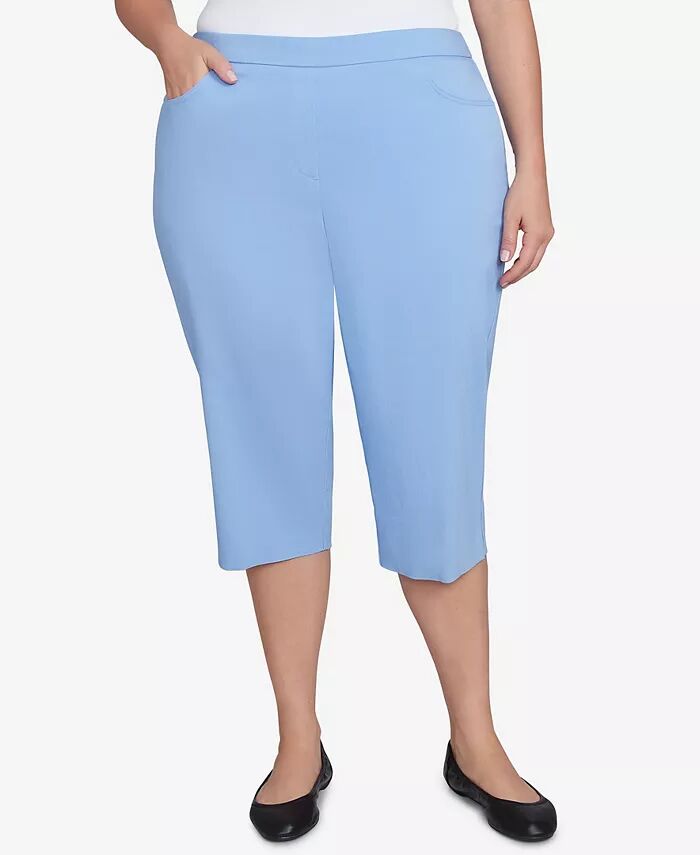 Классические брюки-клеш Allure Clamdigger размера плюс с плоским передом Alfred Dunner, синий
Классические брюки-клеш Allure Clamdigger размера плюс с плоским передом Alfred Dunner, синий