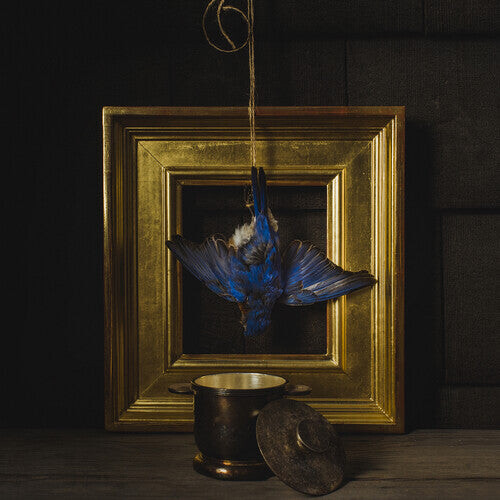 Виниловая пластинка Dickson, Claire: Dickson: The Beholder
Виниловая пластинка Dickson, Claire: Dickson: The Beholder