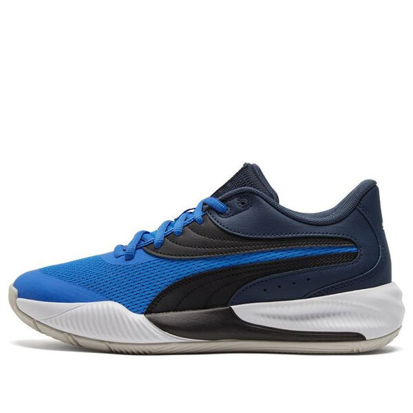 Кроссовки triple basketball 'bluemazing' Puma, синий
Кроссовки triple basketball 'bluemazing' Puma, синий