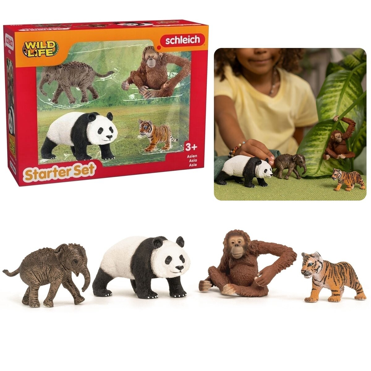 SLH42736 Schleich Wild Life - Набор из четырёх диких животных для начала, Азия, фигурка для детей 3+ 
SLH42736 Schleich Wild Life - Набор из четырёх диких животных для начала, Азия, фигурка для детей 3+