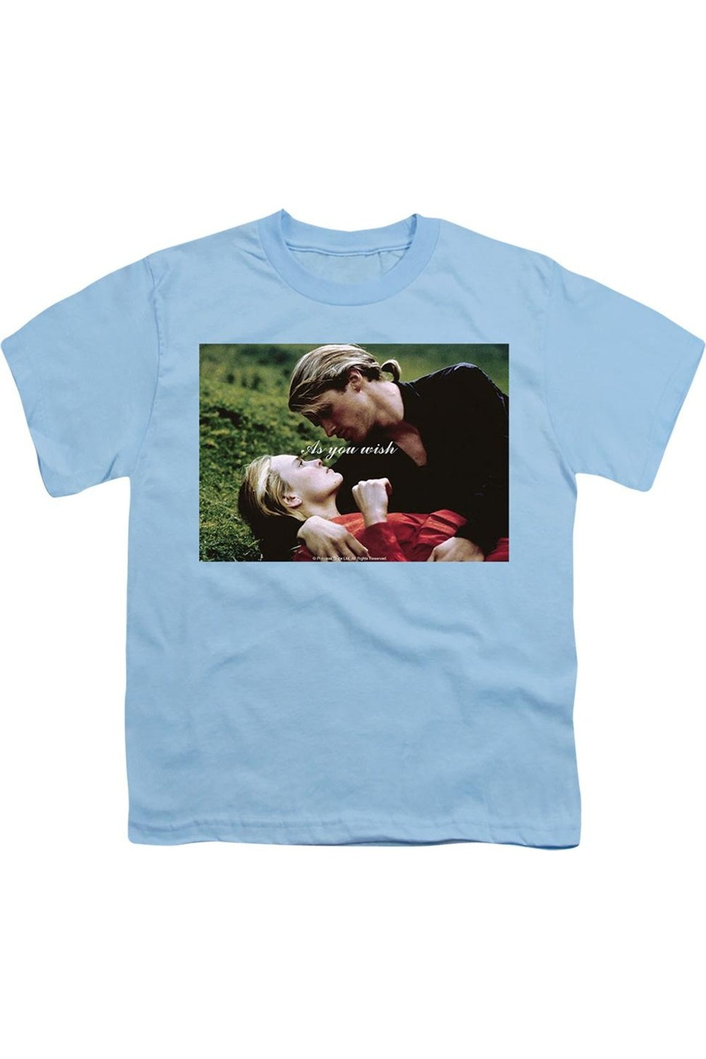 Футболка с коротким рукавом для детей "Принцесса-невеста" с надписью "Как пожелаешь" Gildan, светло-голубой
Футболка с коротким рукавом для детей "Принцесса-невеста" с надписью "Как пожелаешь" Gildan, светло-голубой