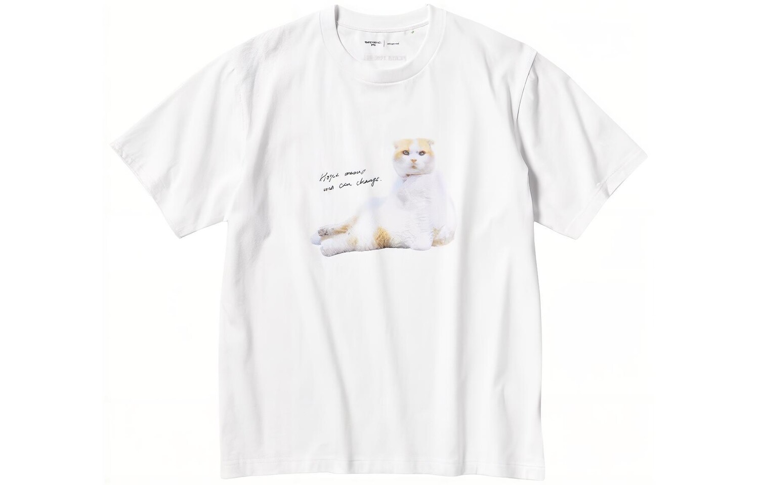 Футболка унисекс белая Uniqlo, белый
Футболка унисекс белая Uniqlo, белый