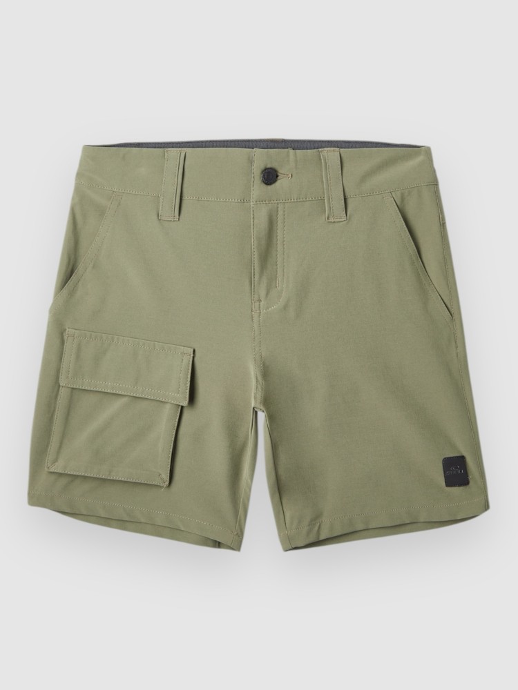 Шорты O'Neill Easton Cargo Kids Shorts, deep lichen green
Шорты O'Neill Easton Cargo Kids Shorts, deep lichen green