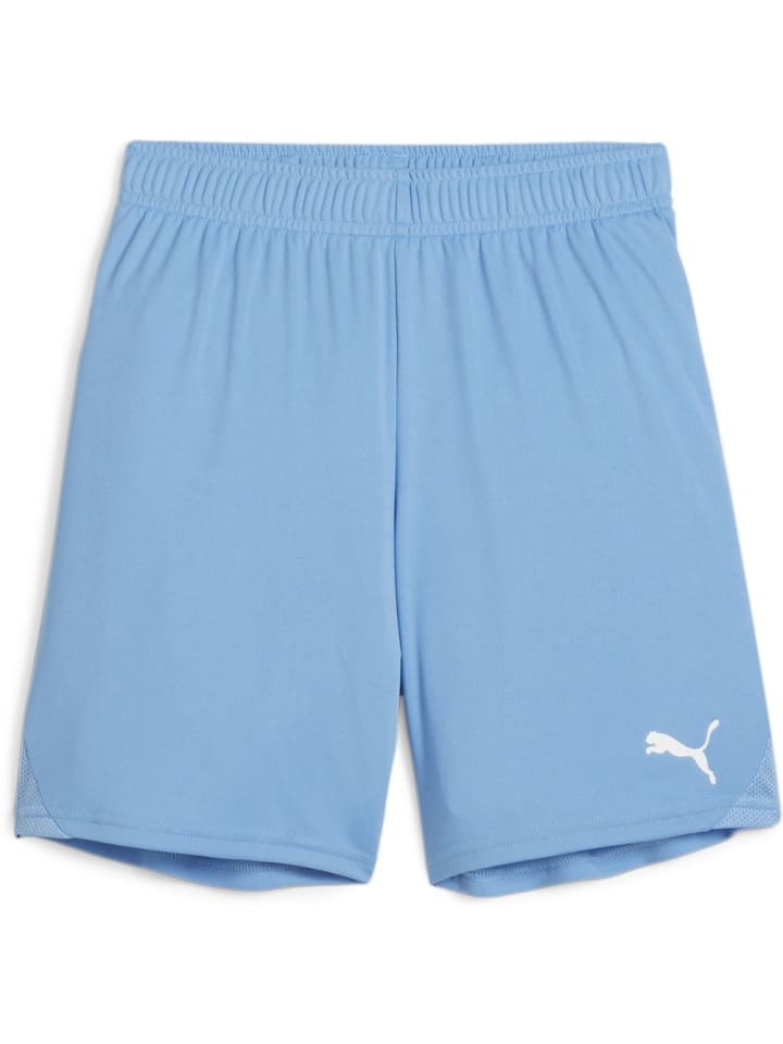 Спортивные шорты TeamGoal Shorts Jr синего цвета Puma
Спортивные шорты TeamGoal Shorts Jr синего цвета Puma