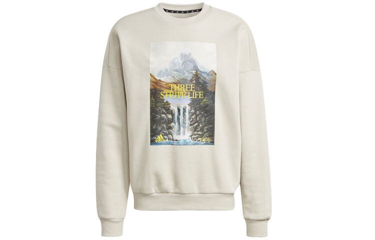 Толстовка мужская бежевая Adidas, бежевый
Толстовка мужская бежевая Adidas, бежевый