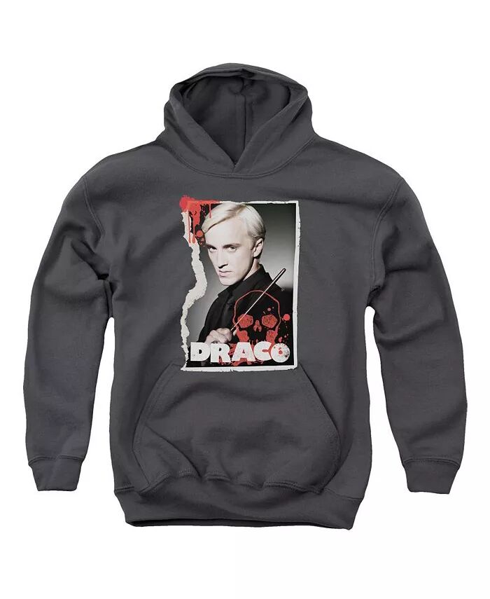 Толстовка с капюшоном Draco Frame для мальчиков и девочек Harry Potter, серый
Толстовка с капюшоном Draco Frame для мальчиков и девочек Harry Potter, серый