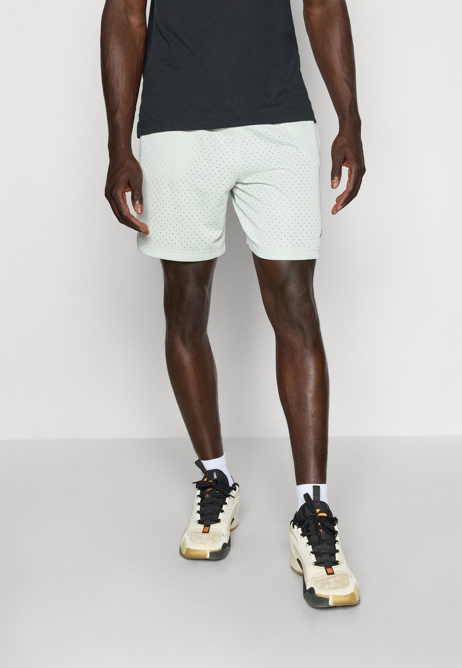 Спортивные шорты Jordan MESH SHORT, Light Silver/Light Grey
Спортивные шорты Jordan MESH SHORT, Light Silver/Light Grey