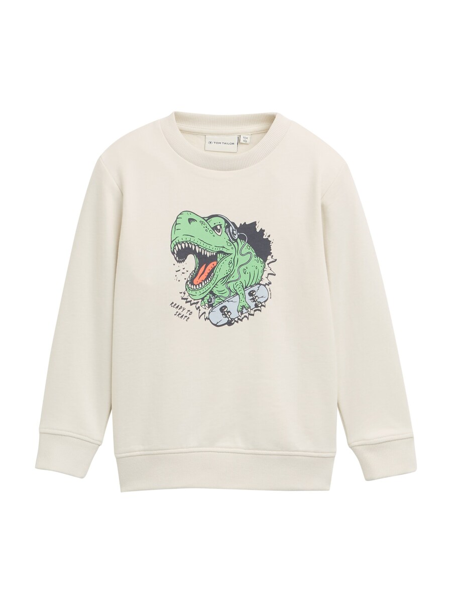 Толстовка TOM TAILOR, белый
Толстовка TOM TAILOR, белый