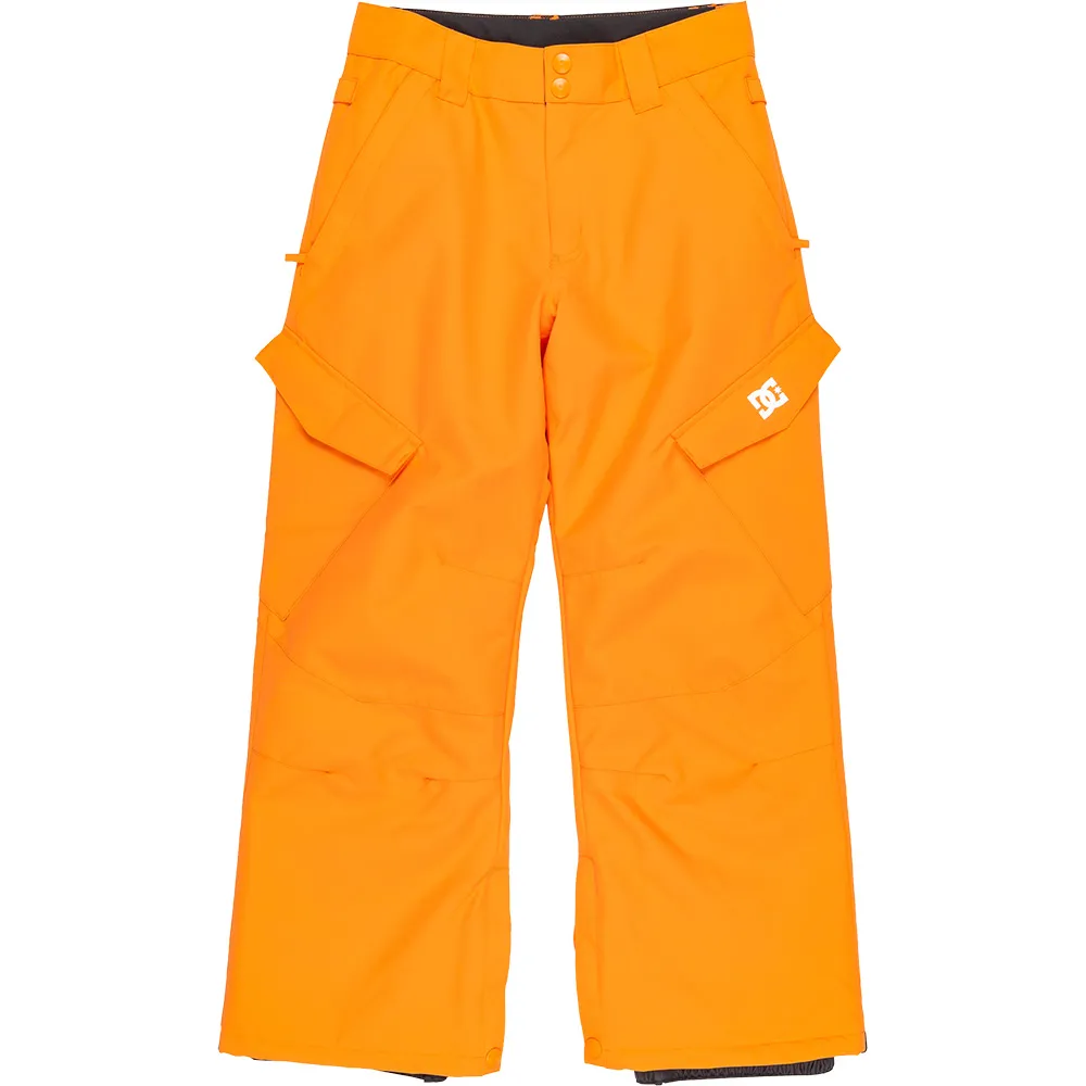 Брюки Dc Shoes Banshee, оранжевый
Брюки Dc Shoes Banshee, оранжевый