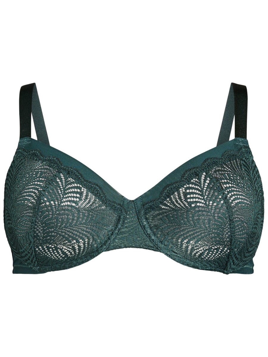 Бюстгальтер-футболка Devoted by Zizzi, темно-зеленый
Бюстгальтер-футболка Devoted by Zizzi, темно-зеленый