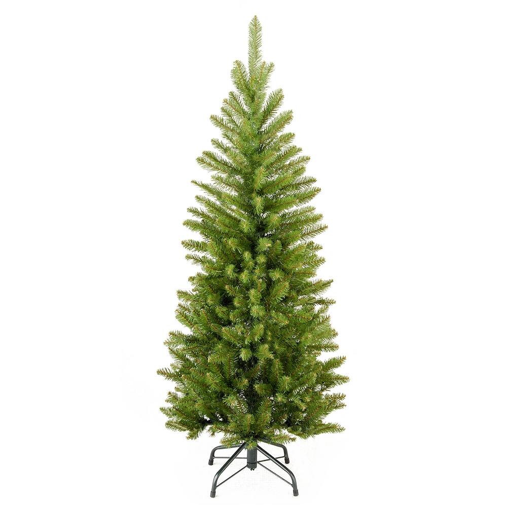 Национальная лесная компания 4 фута. Искусственная рождественская елка Kingswood Fir Pencil National Tree Company, зеленый
Национальная лесная компания 4 фута. Искусственная рождественская елка Kingswood Fir Pencil National Tree Company, зеленый