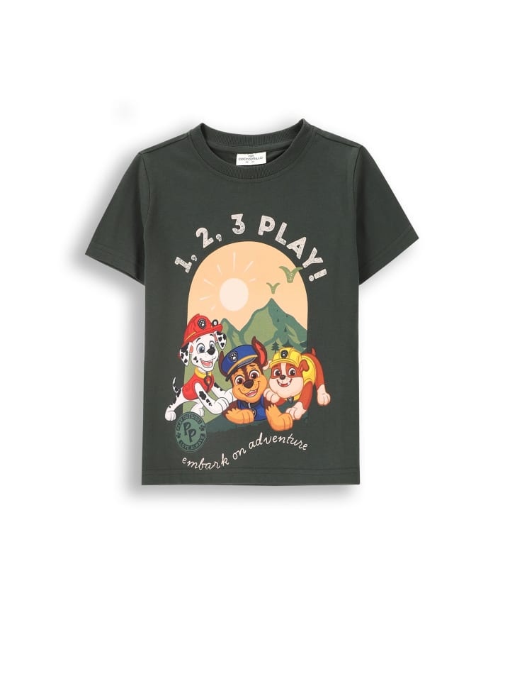 Футболка Coccodrillo, зеленый
Футболка Coccodrillo, зеленый