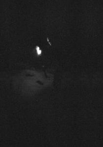 CD диск Paysage D'Hiver: Nacht
CD диск Paysage D'Hiver: Nacht