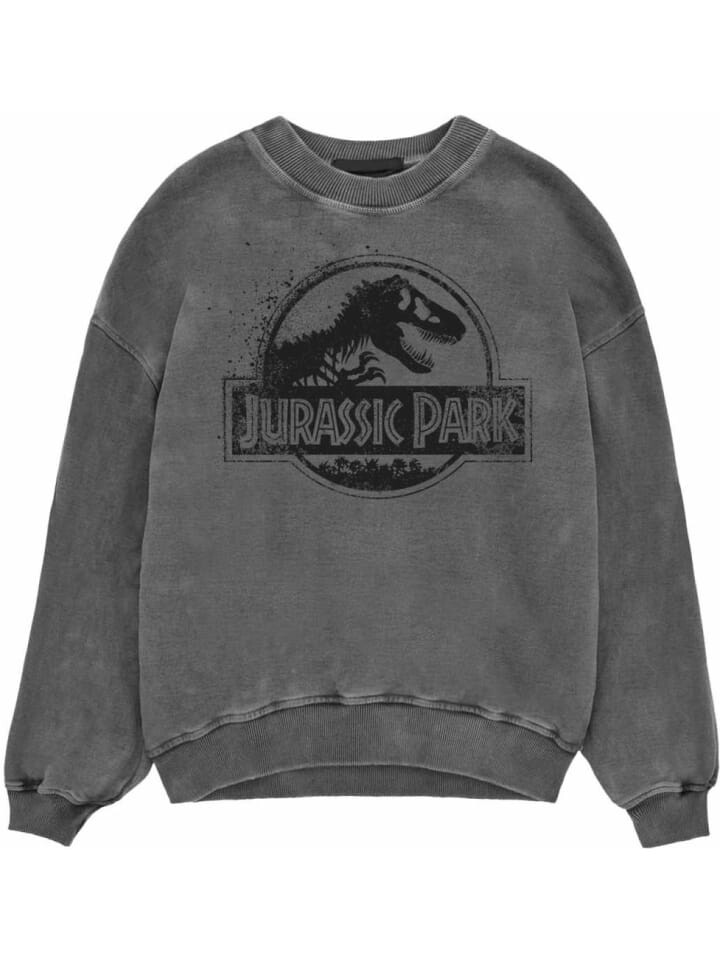 Пуловер Jurassic Park, черный
Пуловер Jurassic Park, черный