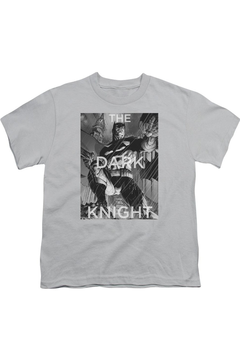 Футболка с коротким рукавом для детей "Бэтмен против бури" Gildan, серебряный
Футболка с коротким рукавом для детей "Бэтмен против бури" Gildan, серебряный