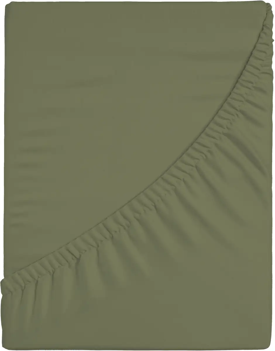 Простыня CASATEX "Джерси-Эластан" с эластаном 90-100х200-220 см, 1 шт., зеленый
Простыня CASATEX "Джерси-Эластан" с эластаном 90-100х200-220 см, 1 шт., зеленый