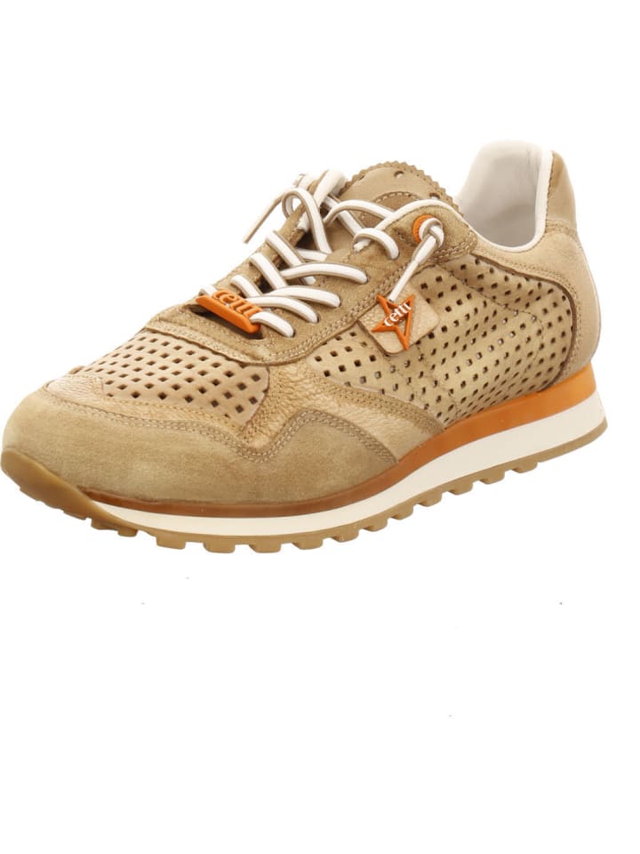 Кроссовки на шнуровке Cetti, бежевый
Кроссовки на шнуровке Cetti, бежевый