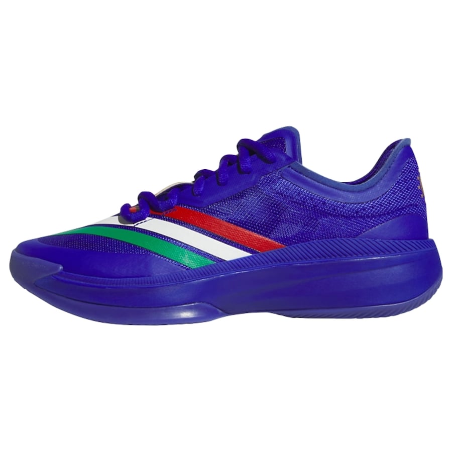 Спортивные кроссовки ADIDAS PERFORMANCE Adizero Select 3.0, Royal Blue
Спортивные кроссовки ADIDAS PERFORMANCE Adizero Select 3.0, Royal Blue