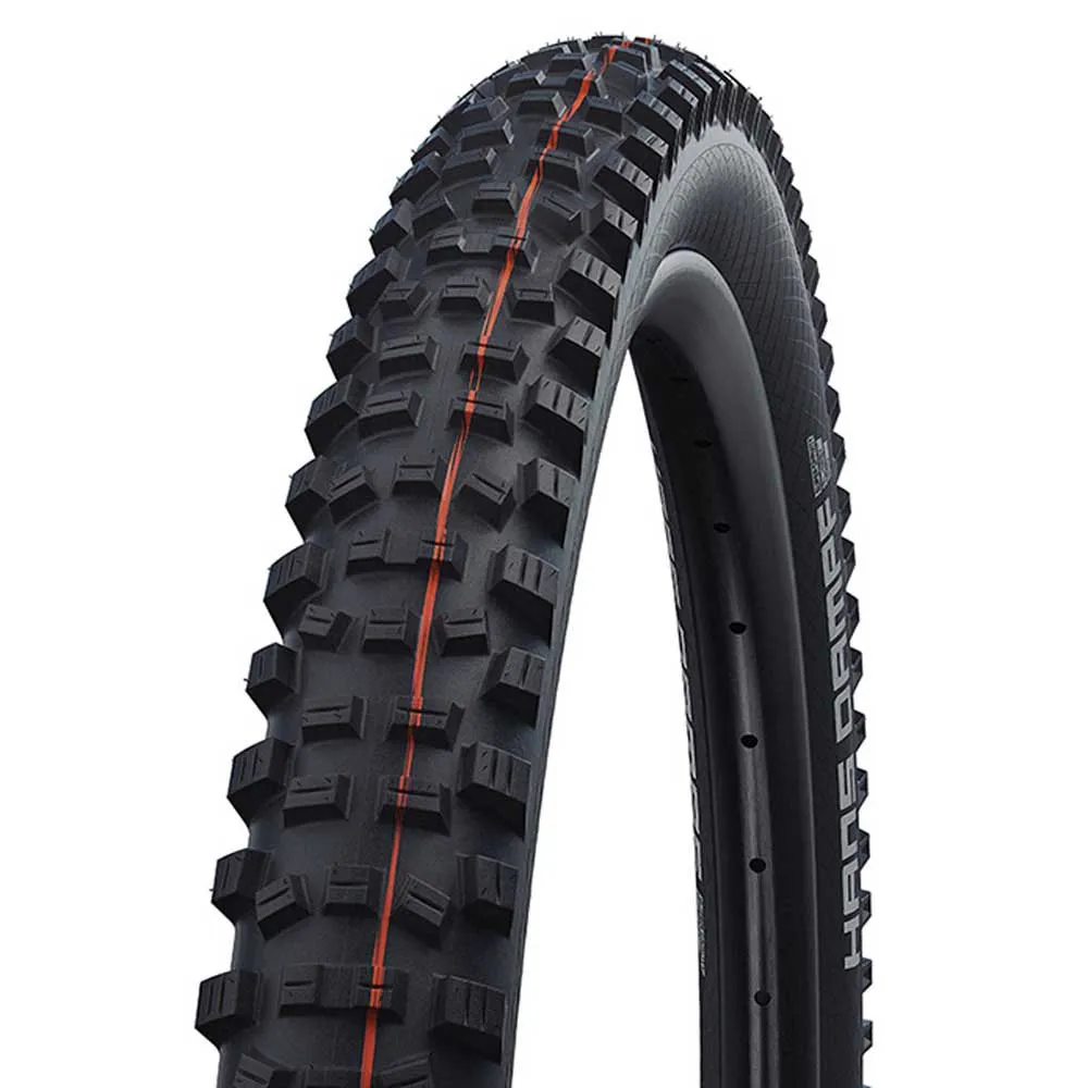 Шина для горного велосипеда Schwalbe Hans Dampf EVO Super Trail Addix Soft Tubeless 26´´ x 2.35, черный
Шина для горного велосипеда Schwalbe Hans Dampf EVO Super Trail Addix Soft Tubeless 26´´ x 2.35, черный
