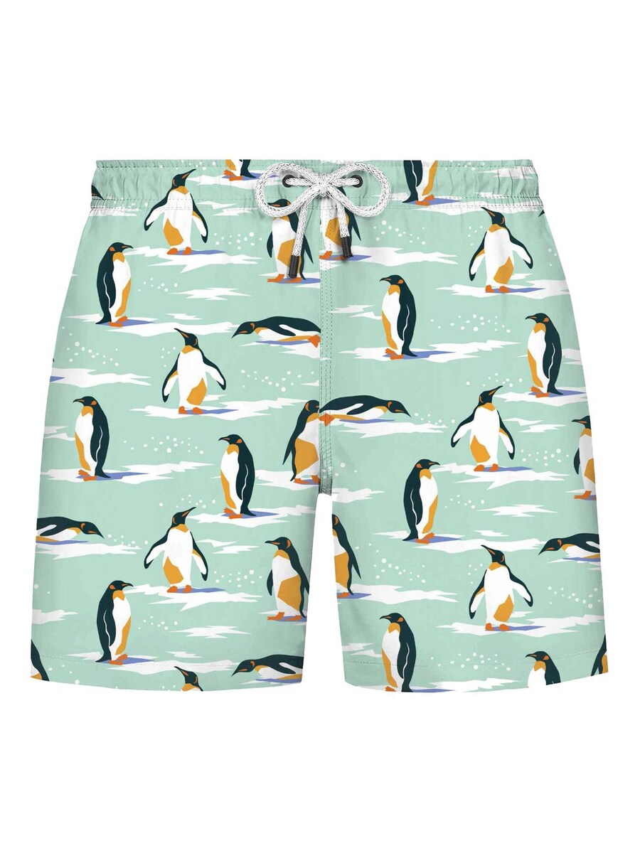 Шорты для плавания WESTMARK LONDON Board Shorts, мятный
Шорты для плавания WESTMARK LONDON Board Shorts, мятный