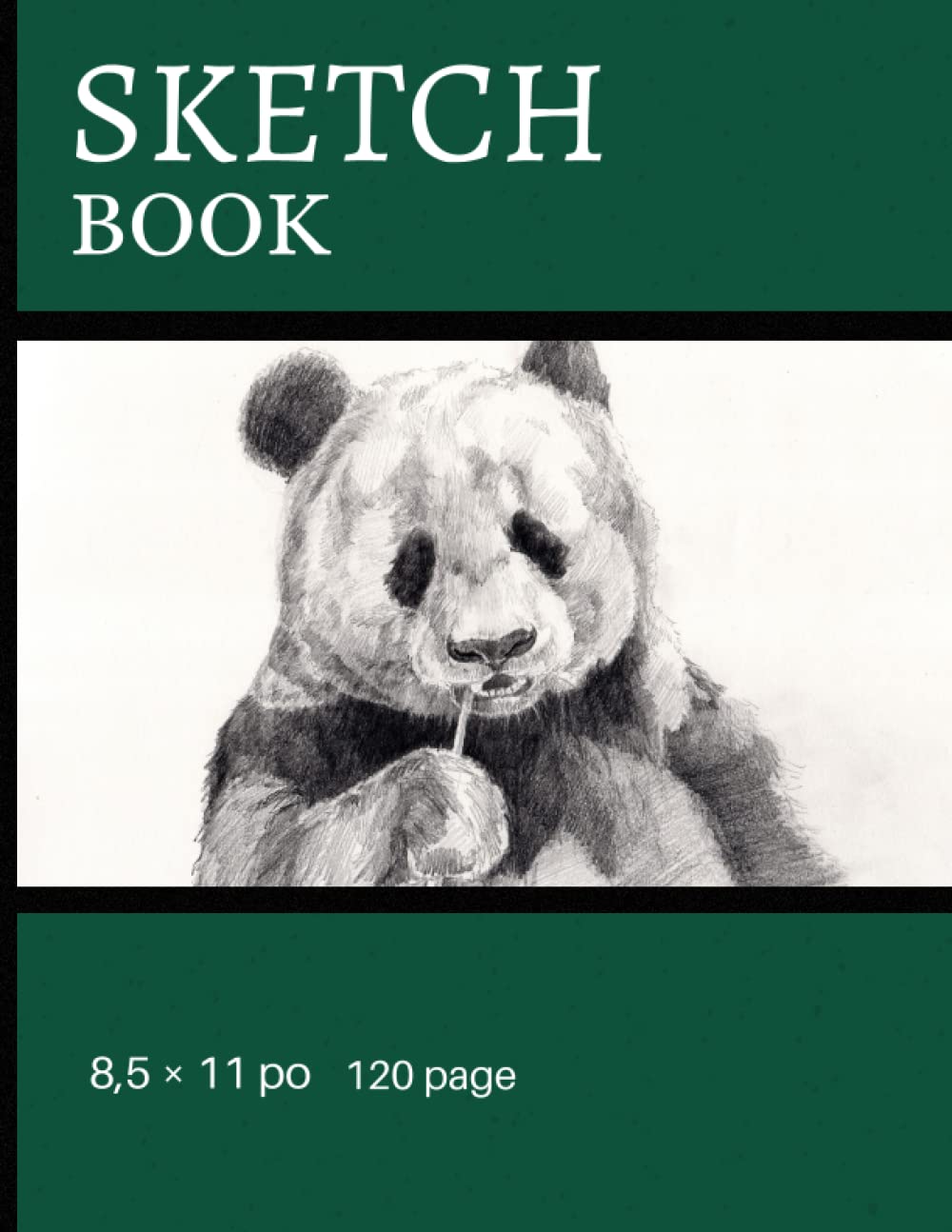 Sketchbook (Independently published)
Sketchbook (Independently published)