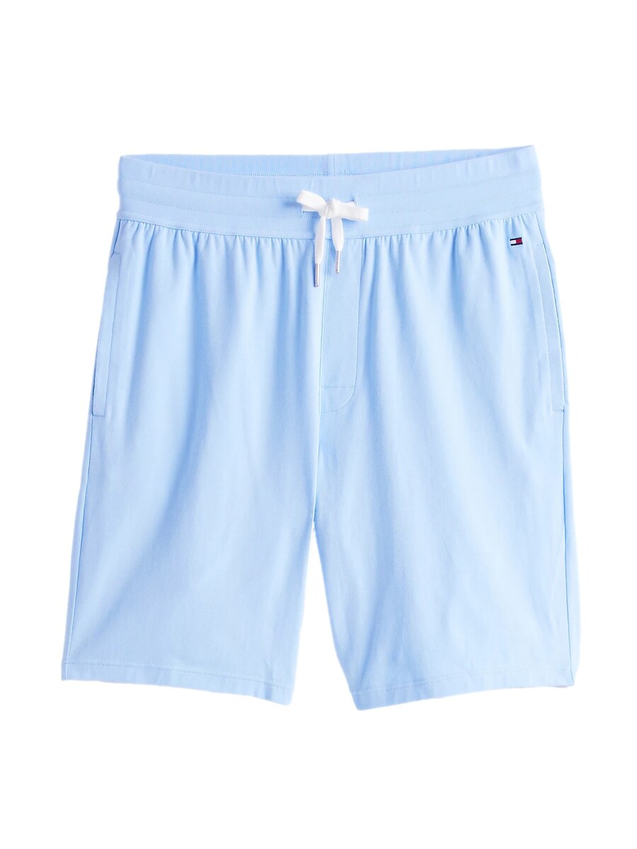 Обычные брюки TOMMY HILFIGER, светло-голубой
Обычные брюки TOMMY HILFIGER, светло-голубой