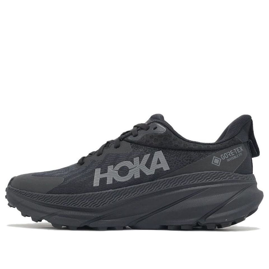 Кроссовки HOKA ONE ONE Challenger ATR 7 Gore-Tex 'Black', черный
Кроссовки HOKA ONE ONE Challenger ATR 7 Gore-Tex 'Black', черный