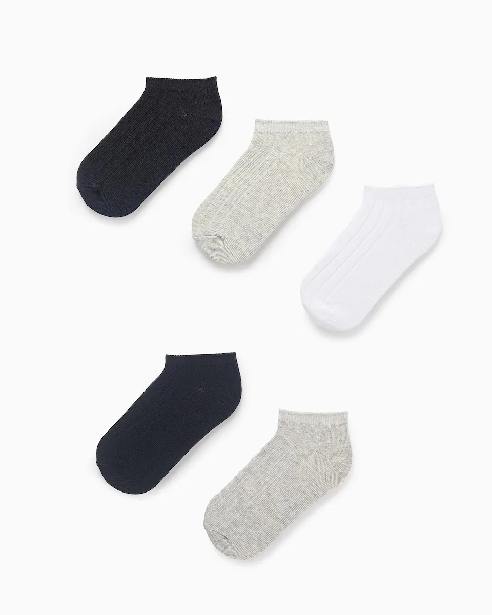 Набор из 5 носков в рубчик для мальчиков Zippy, многоцветный
Набор из 5 носков в рубчик для мальчиков Zippy, многоцветный