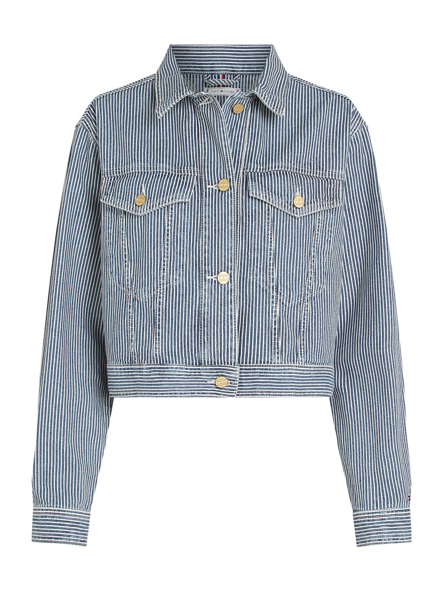 Межсезонная куртка TOMMY HILFIGER, темно-синий
Межсезонная куртка TOMMY HILFIGER, темно-синий