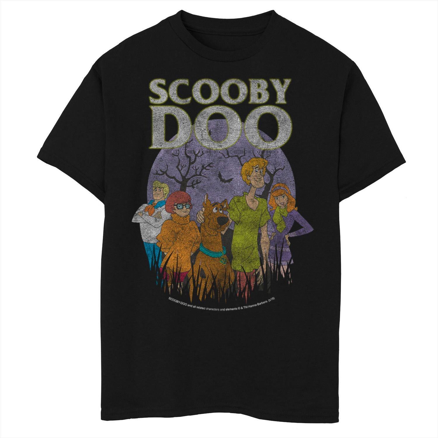 Футболка с потертым портретом на Хэллоуин для мальчиков 8–20 лет «Скуби-Ду» Licensed Character
Футболка с потертым портретом на Хэллоуин для мальчиков 8–20 лет «Скуби-Ду» Licensed Character