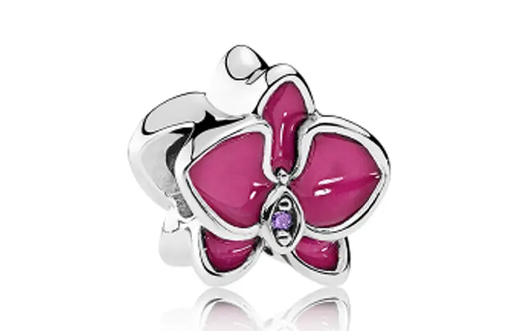 Pandora Jewelry Accessories Women's Fuchsia
Pandora Jewelry Accessories Women's Fuchsia